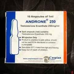 Caspian Androne Testosteron Enanthate 250mg 10 Ampül Eczane Ürünleri, Testosterone Enanthate