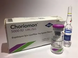 Choriomon 5000 IU 1 Flakon Eczane Ürünleri