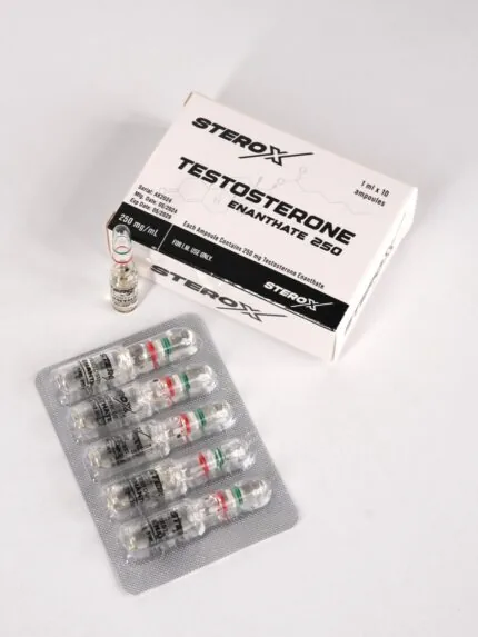 Sterox Testosterone Enanthate 250 Mg 10 Ampul Testosterone Enanthate