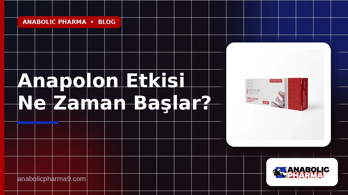 Anapolon Etkisi Ne Zaman Başlar?
