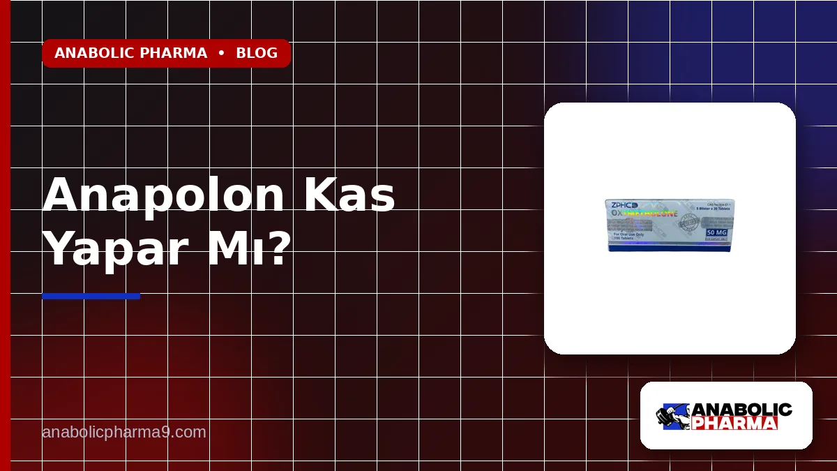 Anapolon Kas Yapar Mı?