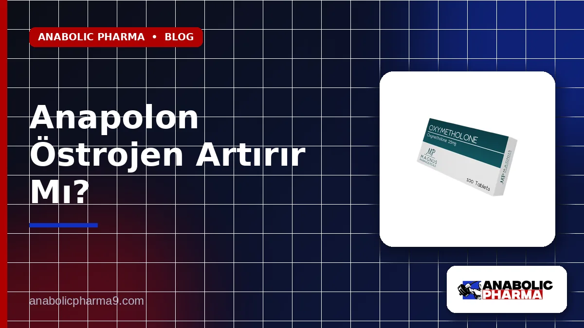 Anapolon Östrojen Artırır Mı?