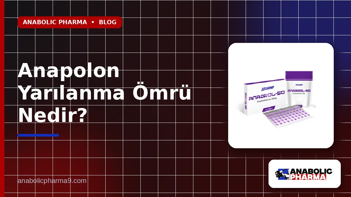 Anapolon Yarılanma Ömrü Nedir?