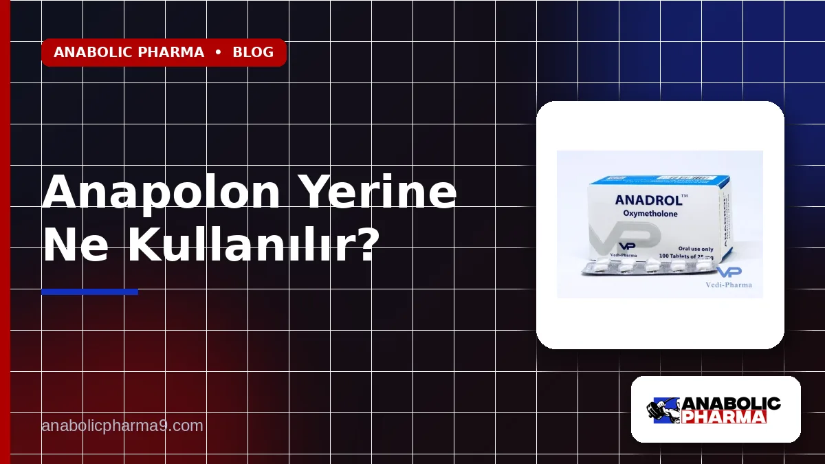 Anapolon Yerine Ne Kullanılır?