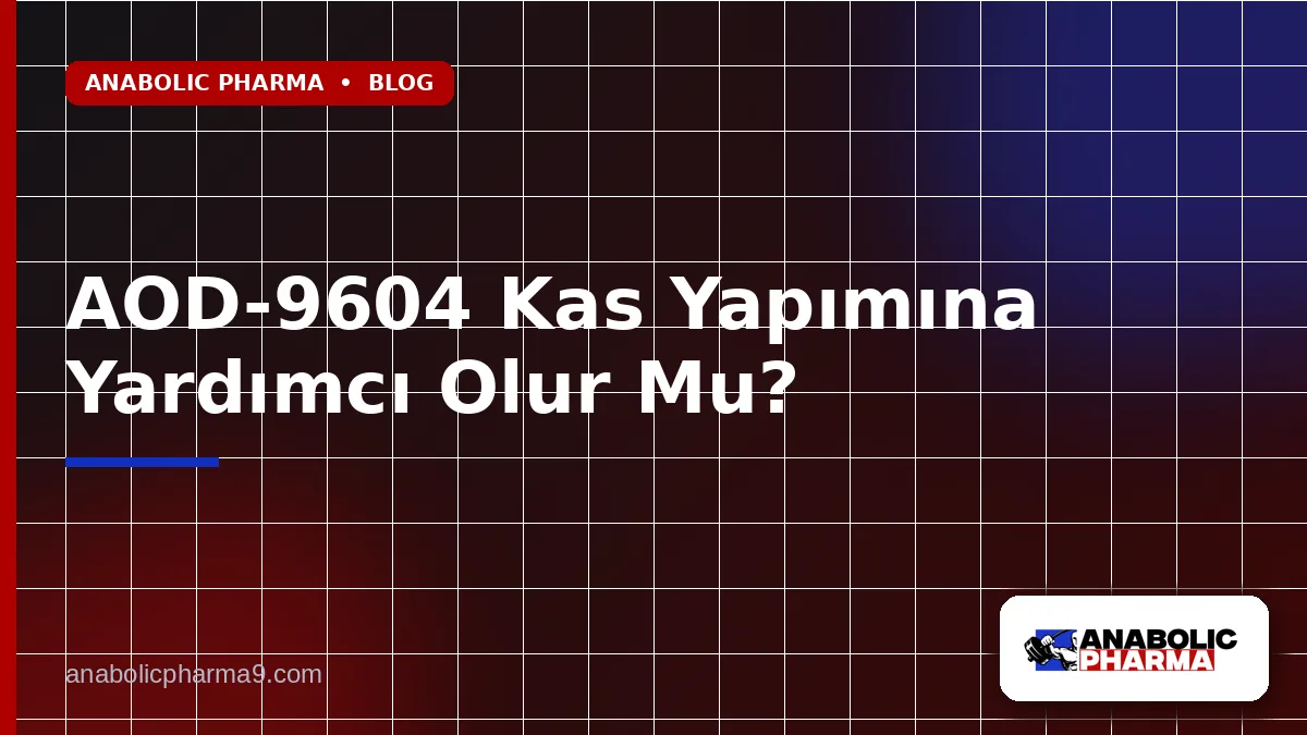 AOD-9604 Kas Yapımına Yardımcı Olur Mu?