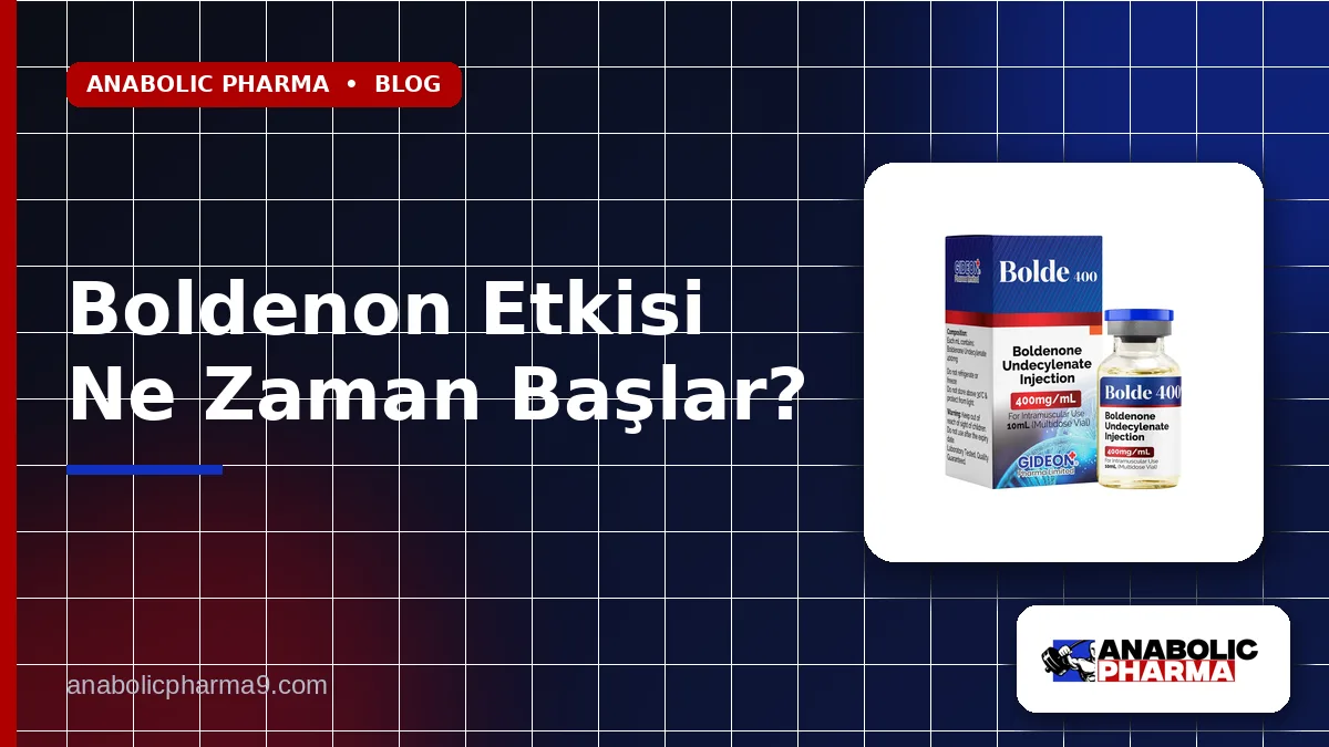 Boldenon Etkisi Ne Zaman Başlar?