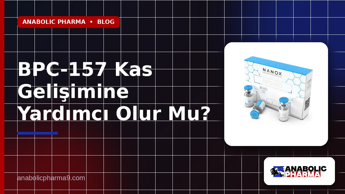 BPC-157 Kas Gelişimine Yardımcı Olur Mu?