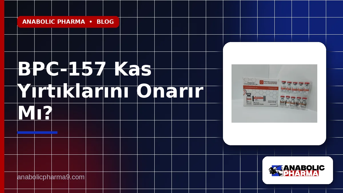 BPC-157 Kas Yırtıklarını Onarır Mı?