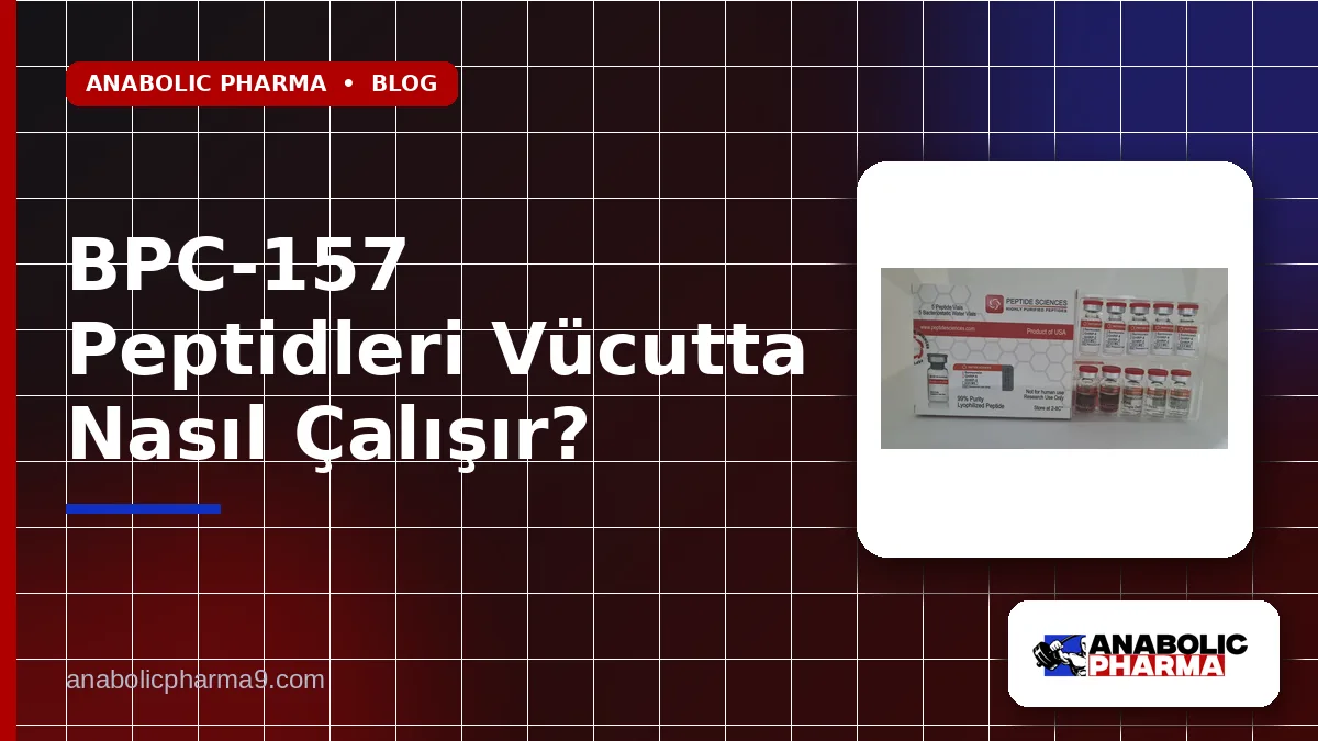 BPC-157 Peptidleri Vücutta Nasıl Çalışır?