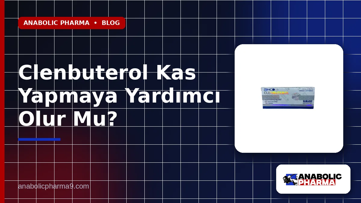 Clenbuterol Kas Yapmaya Yardımcı Olur Mu? 1 Clenbuterol Kas Yapmaya Yardımcı Olur Mu?
