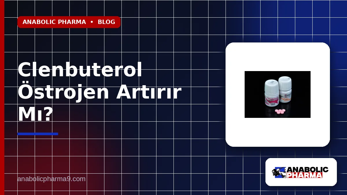 Clenbuterol Östrojen Artırır Mı?
