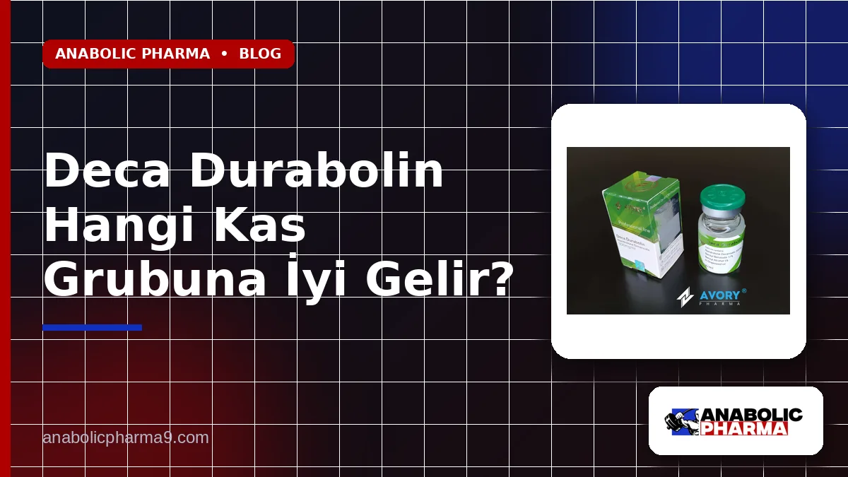 Deca Durabolin Hangi Kas Grubuna İyi Gelir?