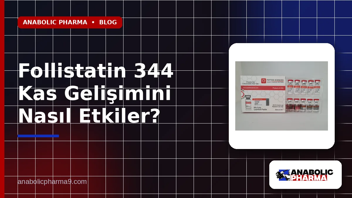 Follistatin 344 Kas Gelişimini Nasıl Etkiler?