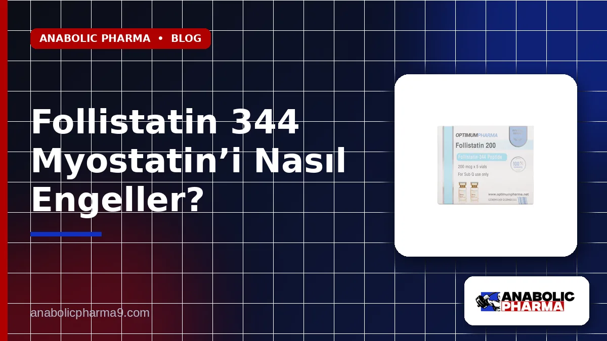 Follistatin 344 Myostatin’i Nasıl Engeller?