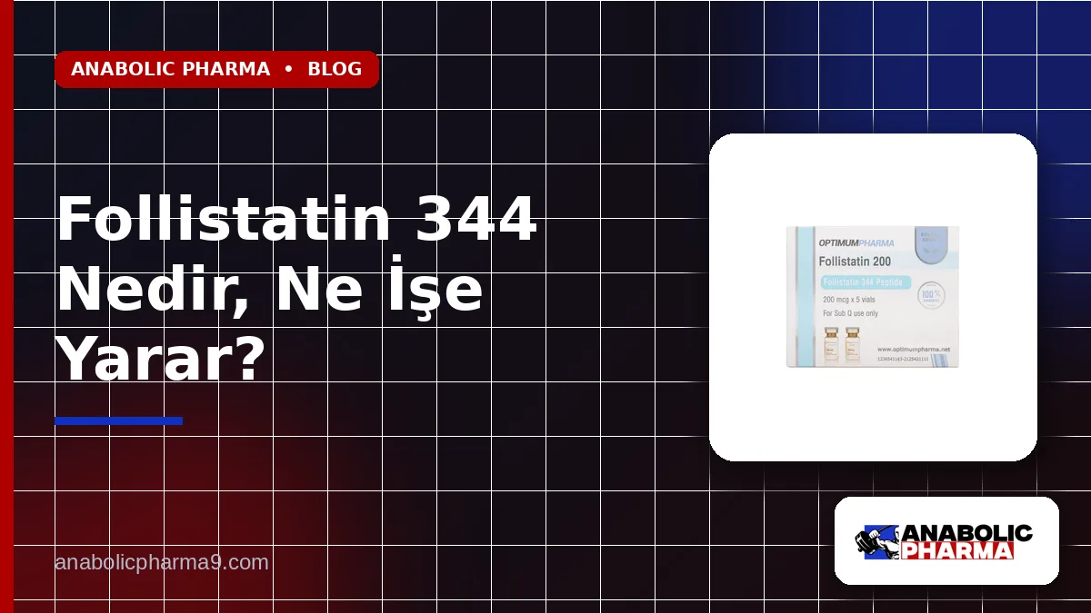 Follistatin 344 Nedir, Ne İşe Yarar?