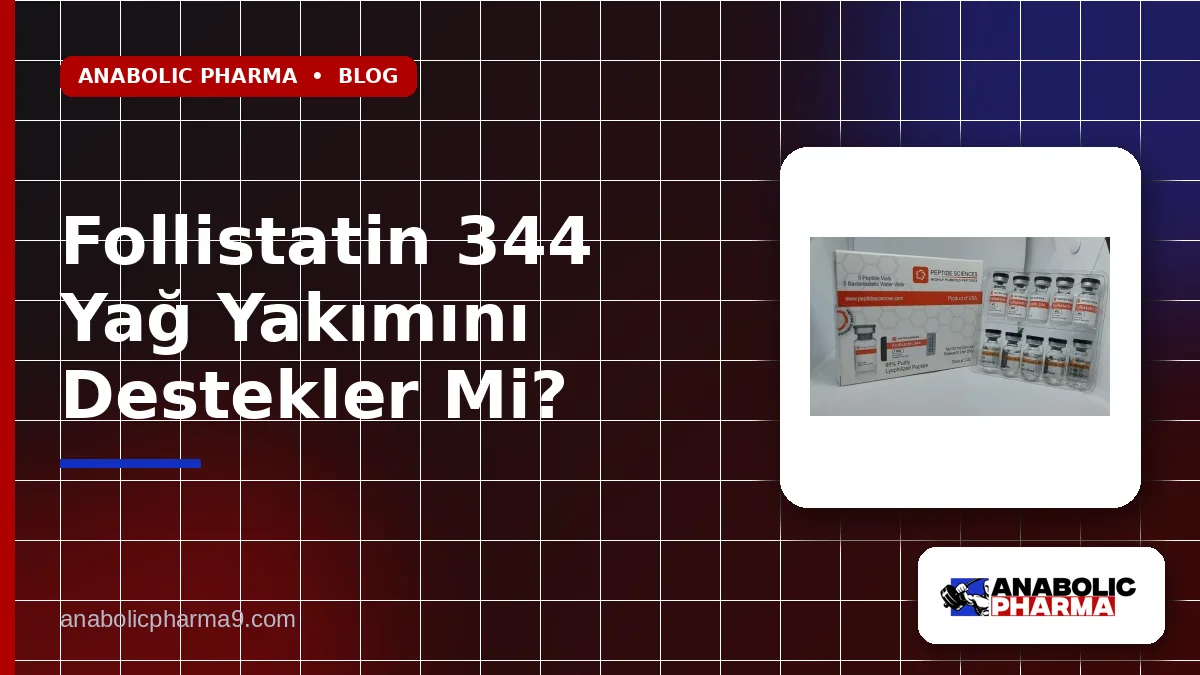 Follistatin 344 Yağ Yakımını Destekler Mi?