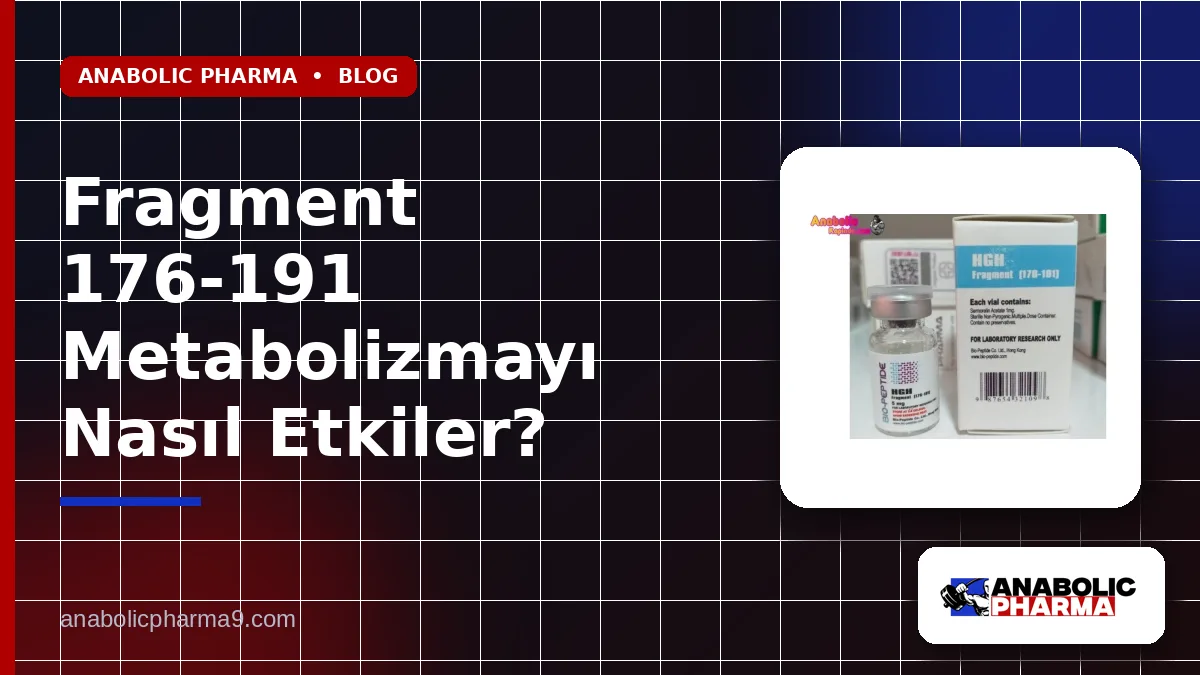 Fragment 176-191 Metabolizmayı Nasıl Etkiler?