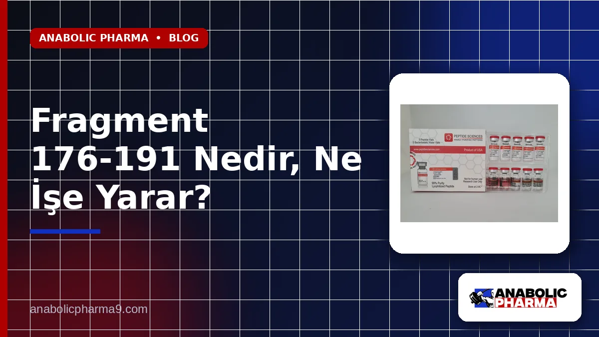 Fragment 176-191 Nedir, Ne İşe Yarar?
