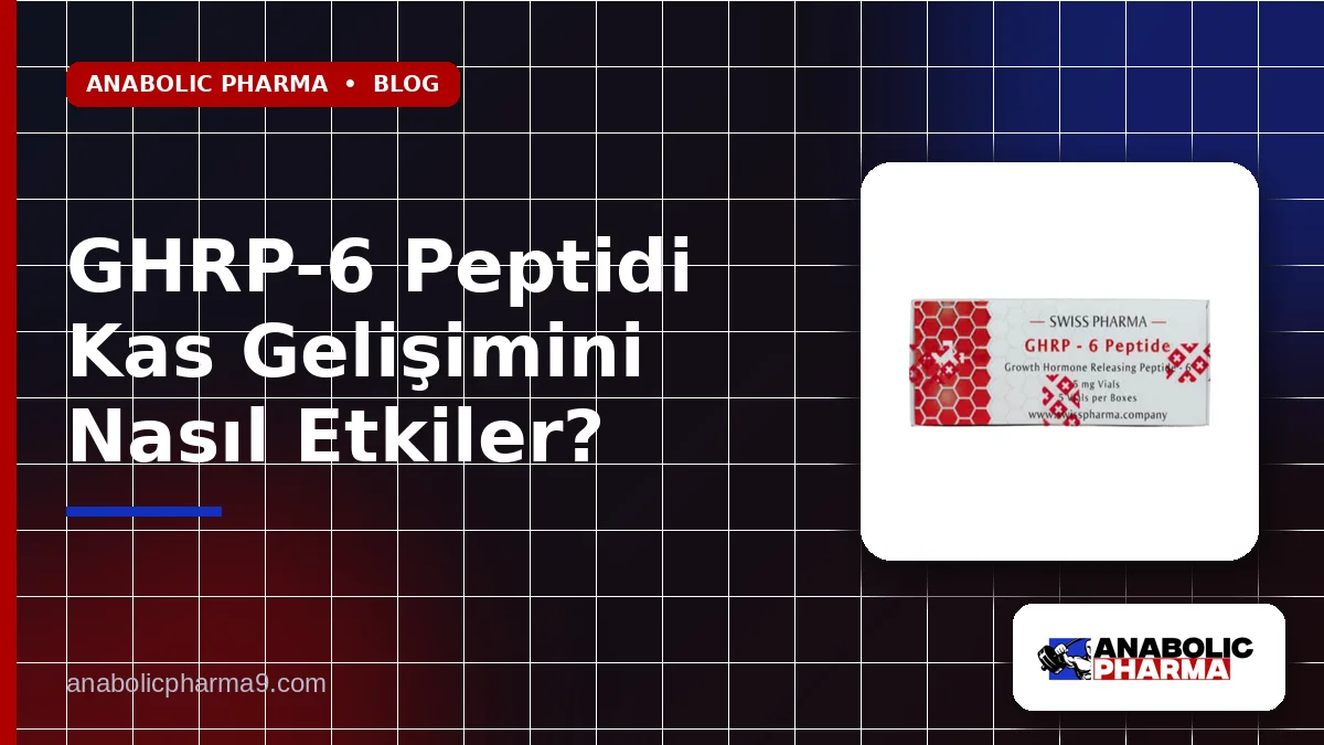 GHRP-6 Peptidi Kas Gelişimini Nasıl Etkiler?