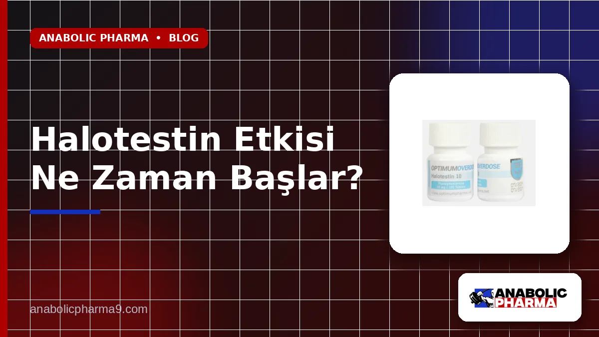 Halotestin Etkisi Ne Zaman Başlar? 1 Halotestin Etkisi Ne Zaman Başlar?