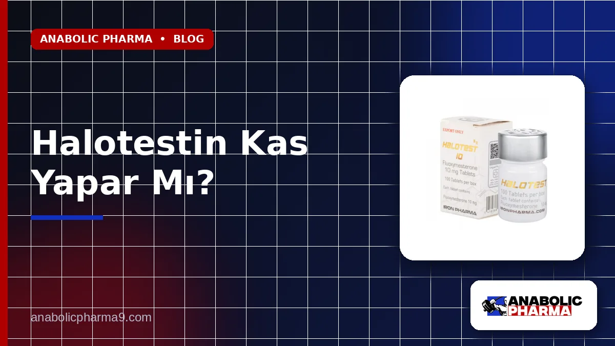 Halotestin Kas Yapar Mı? 1 Halotestin Kas Yapar Mı?
