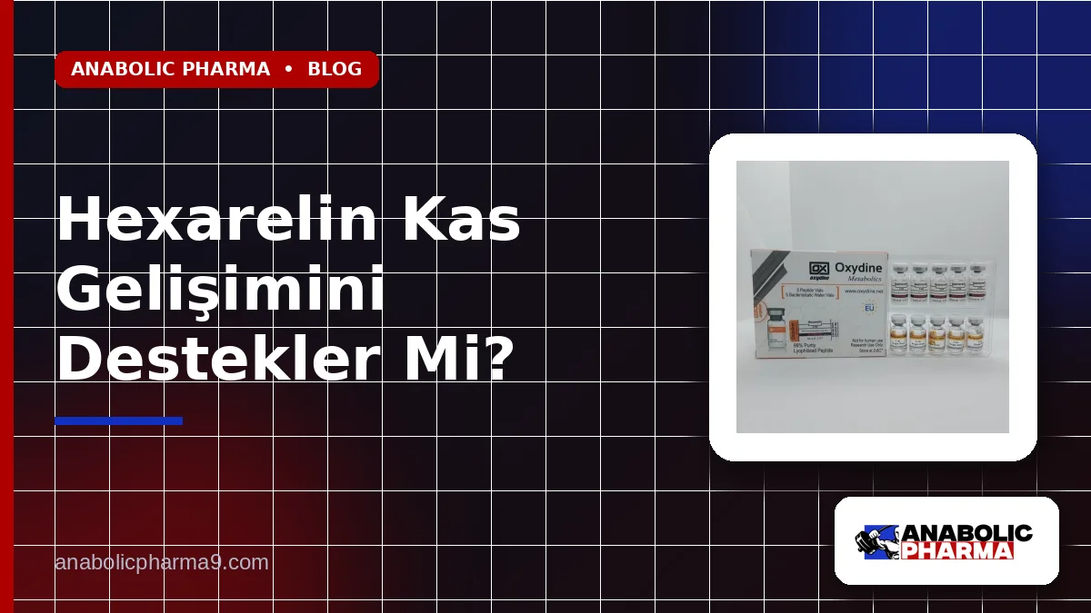 Hexarelin Kas Gelişimini Destekler Mi?
