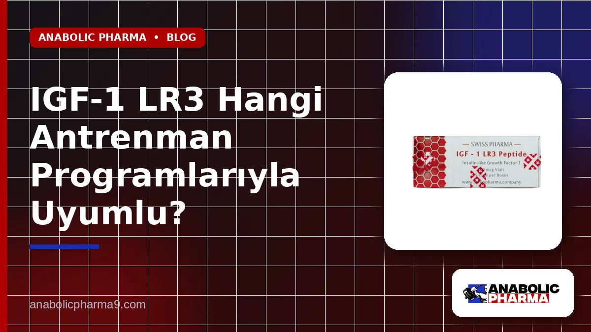IGF-1 LR3 Hangi Antrenman Programlarıyla Uyumlu?