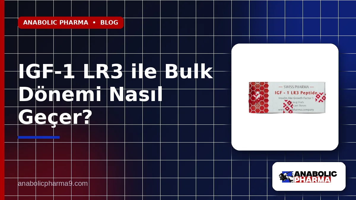 IGF-1 LR3 ile Bulk Dönemi Nasıl Geçer?