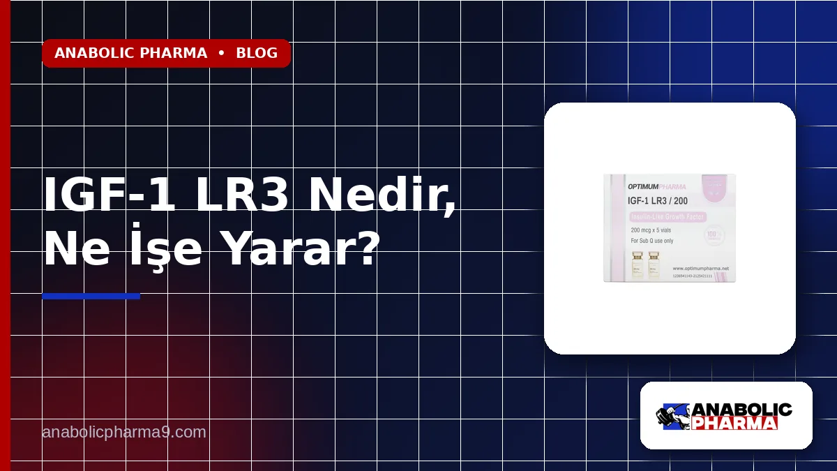 IGF-1 LR3 Nedir, Ne İşe Yarar?
