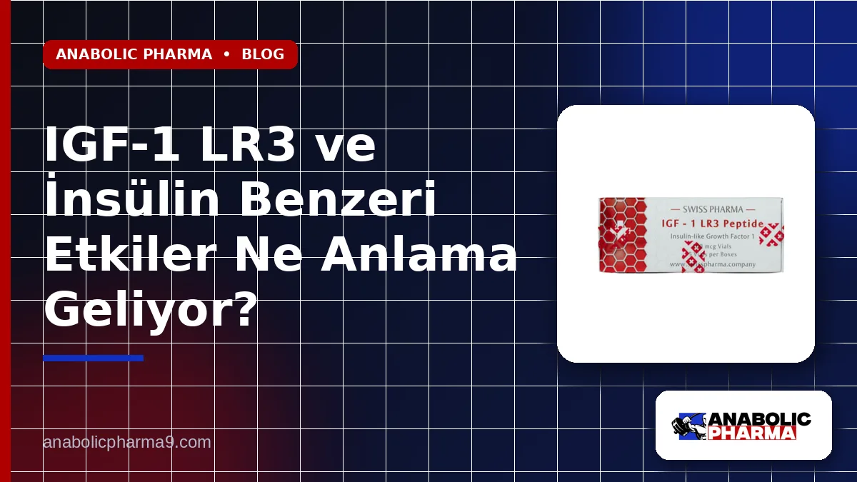IGF-1 LR3 ve İnsülin Benzeri Etkiler Ne Anlama Geliyor?