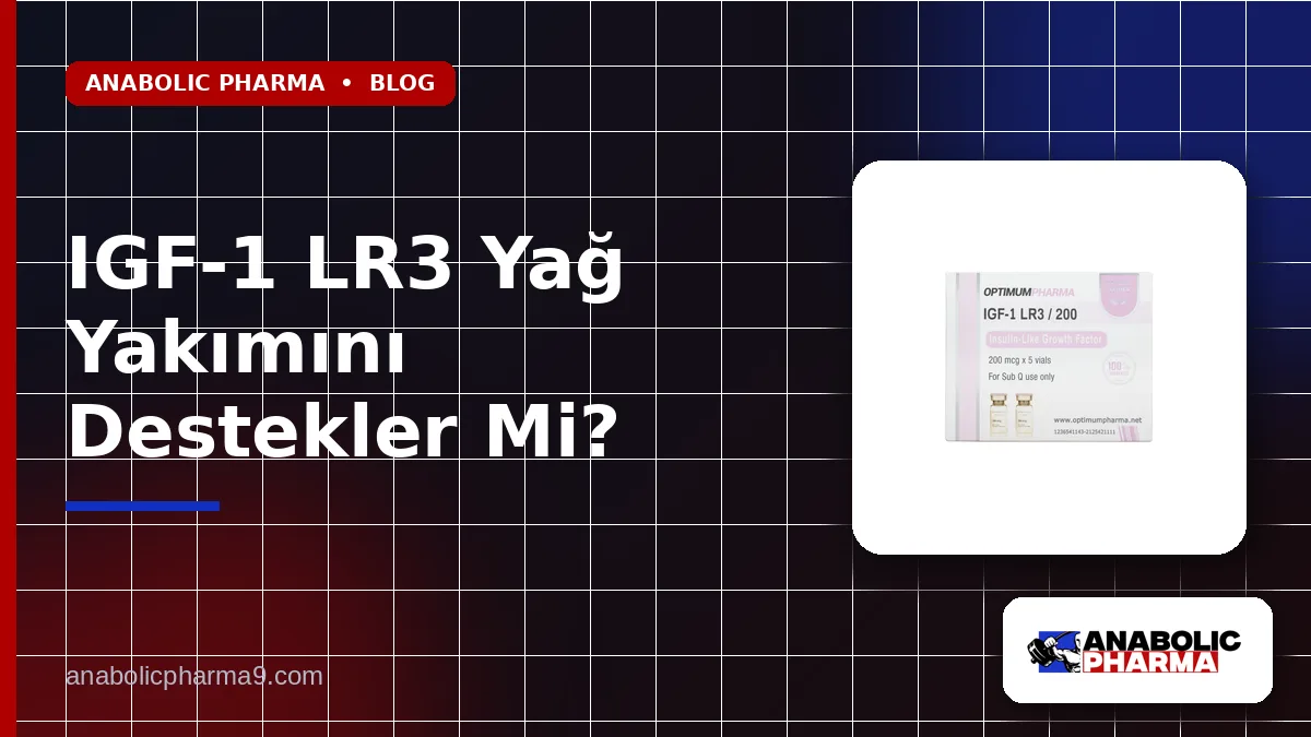 IGF-1 LR3 Yağ Yakımını Destekler Mi?