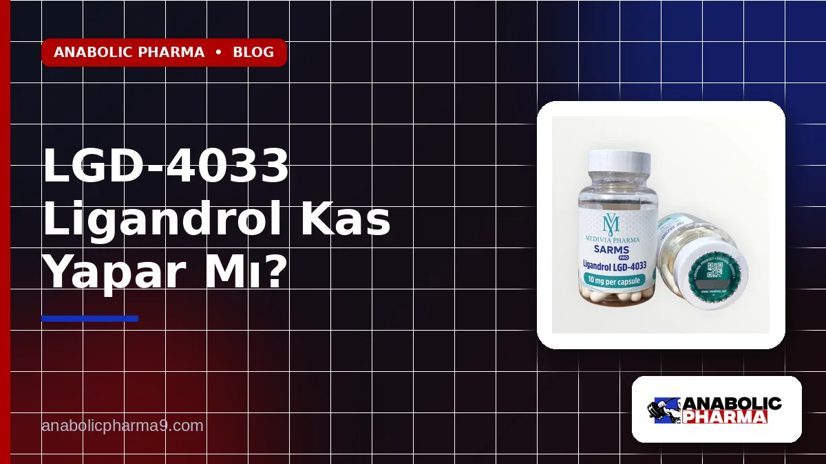 LGD-4033 Ligandrol Kas Yapar Mı?