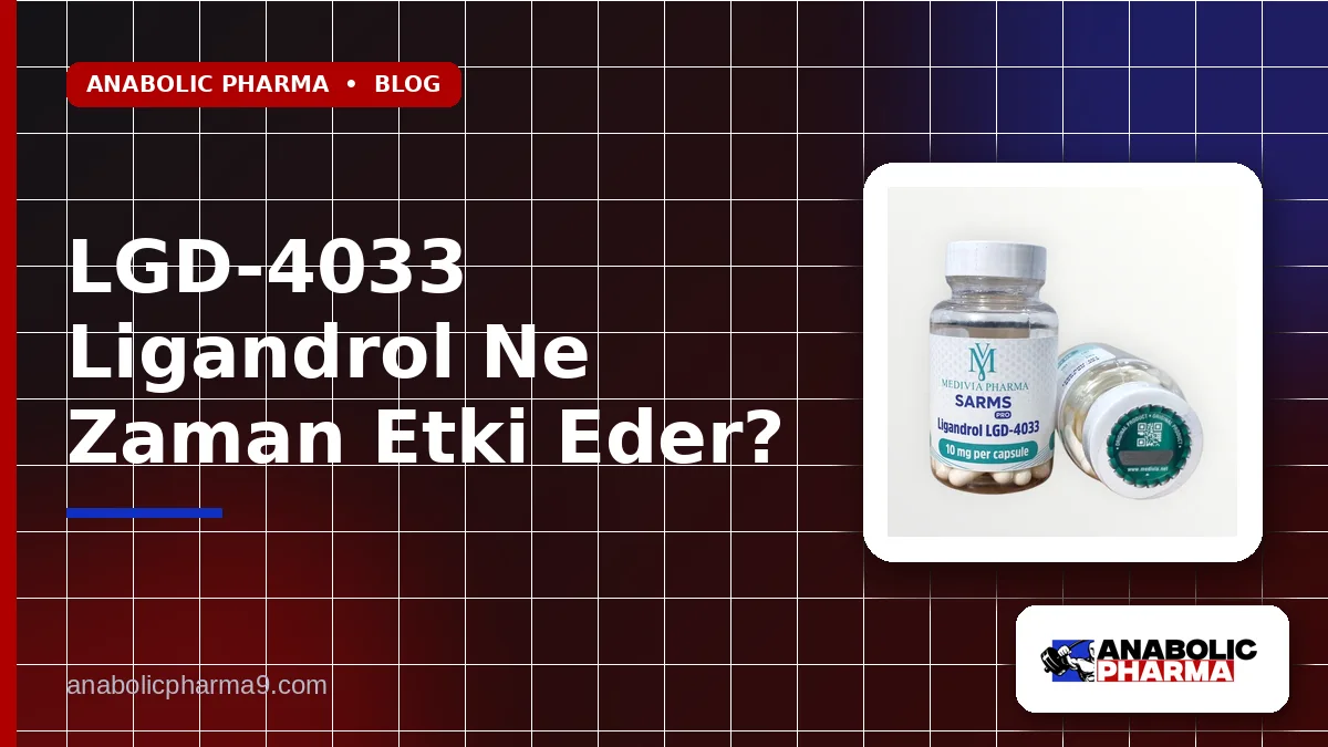 LGD-4033 Ligandrol Ne Zaman Etki Eder?