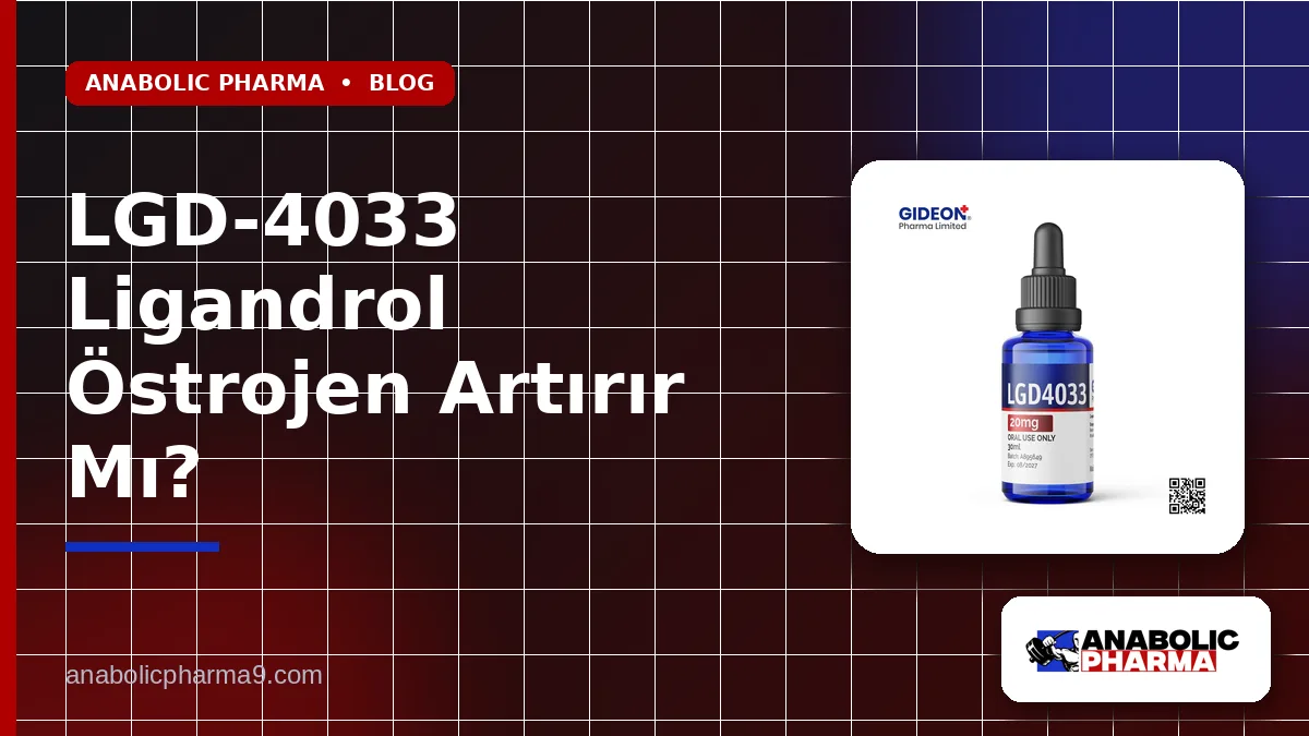 LGD-4033 Ligandrol Östrojen Artırır Mı?