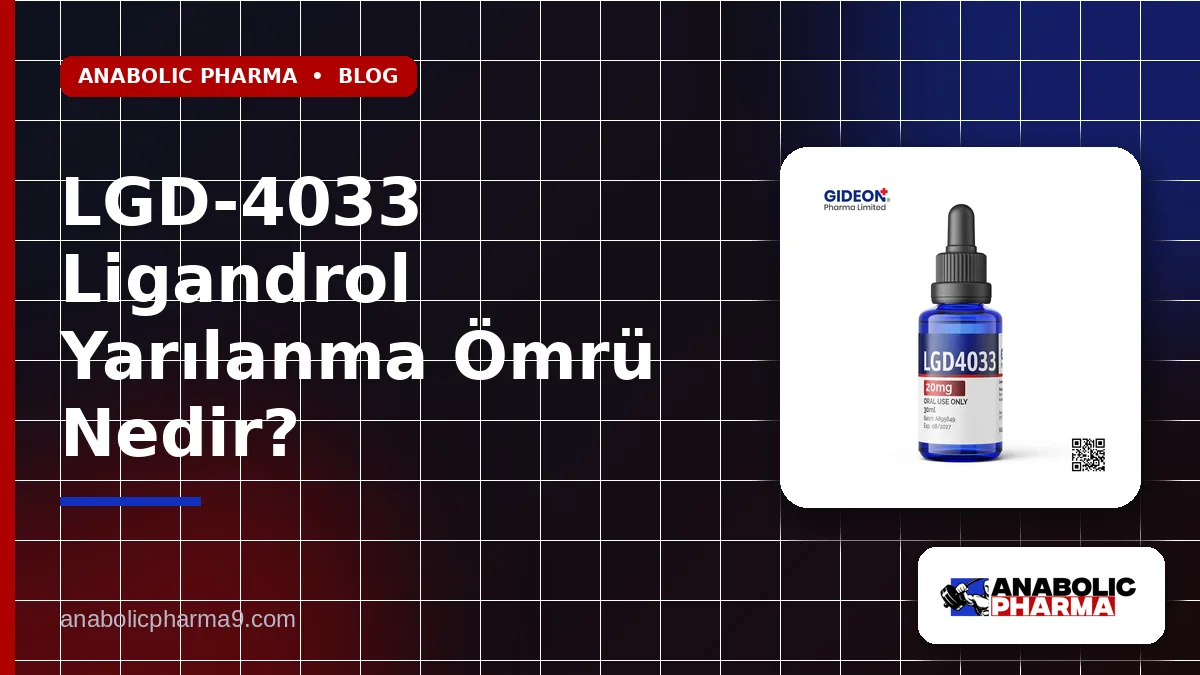 LGD-4033 Ligandrol Yarılanma Ömrü Nedir?