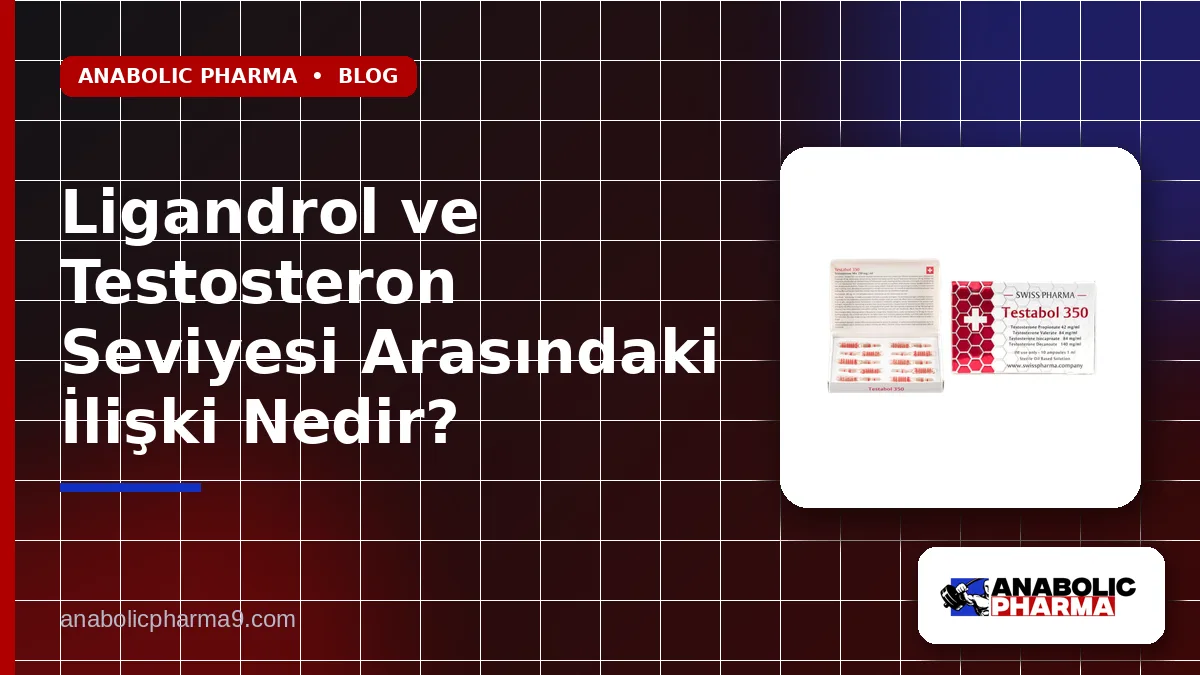 Ligandrol ve Testosteron Seviyesi Arasındaki İlişki Nedir?