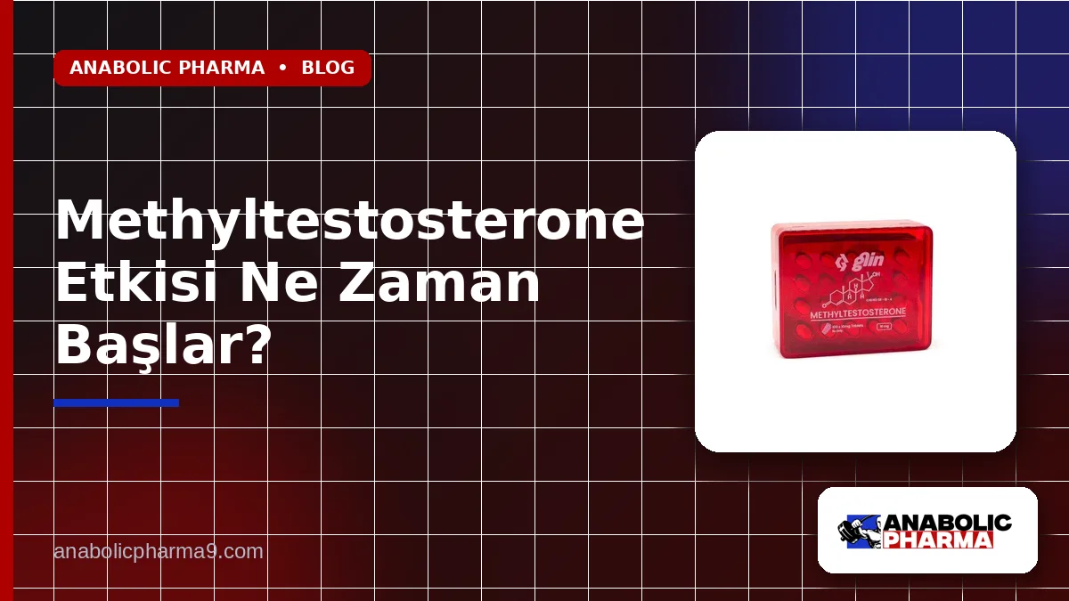 Methyltestosterone Etkisi Ne Zaman Başlar? 1 Methyltestosterone Etkisi Ne Zaman Başlar?