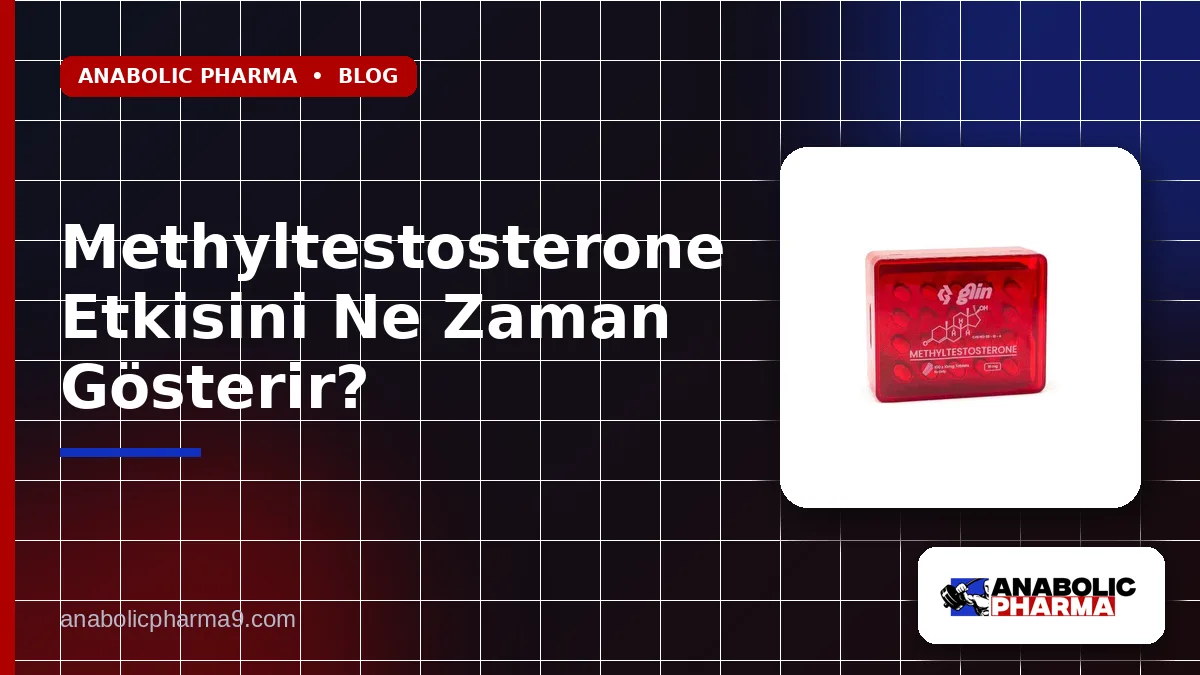 Methyltestosterone Etkisini Ne Zaman Gösterir?