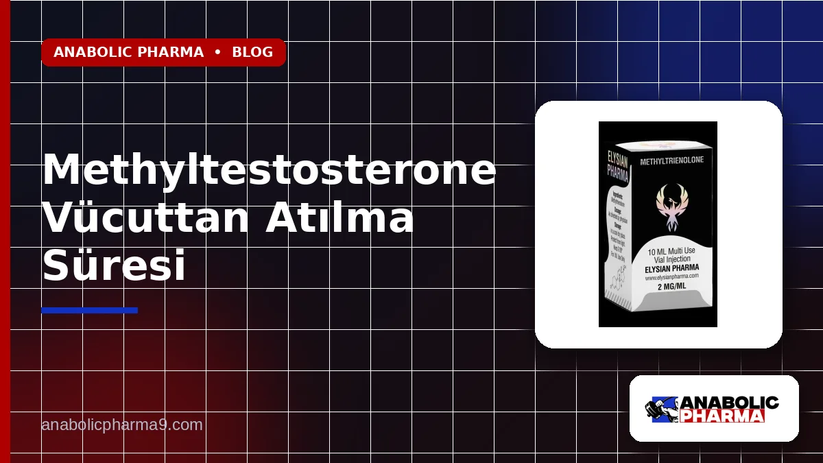 Methyltestosterone Vücuttan Atılma Süresi