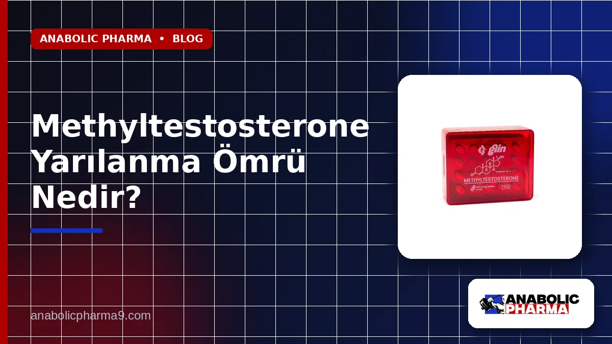 Methyltestosterone Yarılanma Ömrü Nedir? 1 Methyltestosterone Yarılanma Ömrü Nedir?