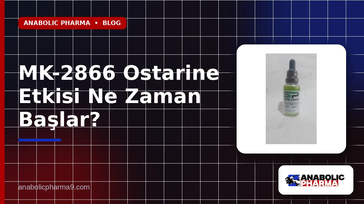 MK-2866 Ostarine Etkisi Ne Zaman Başlar?