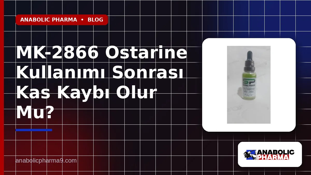 MK-2866 Ostarine Kullanımı Sonrası Kas Kaybı Olur Mu?
