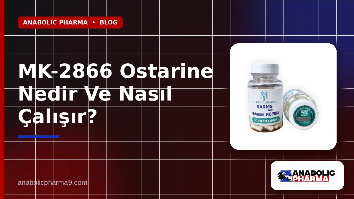 MK-2866 Ostarine Nedir Ve Nasıl Çalışır?