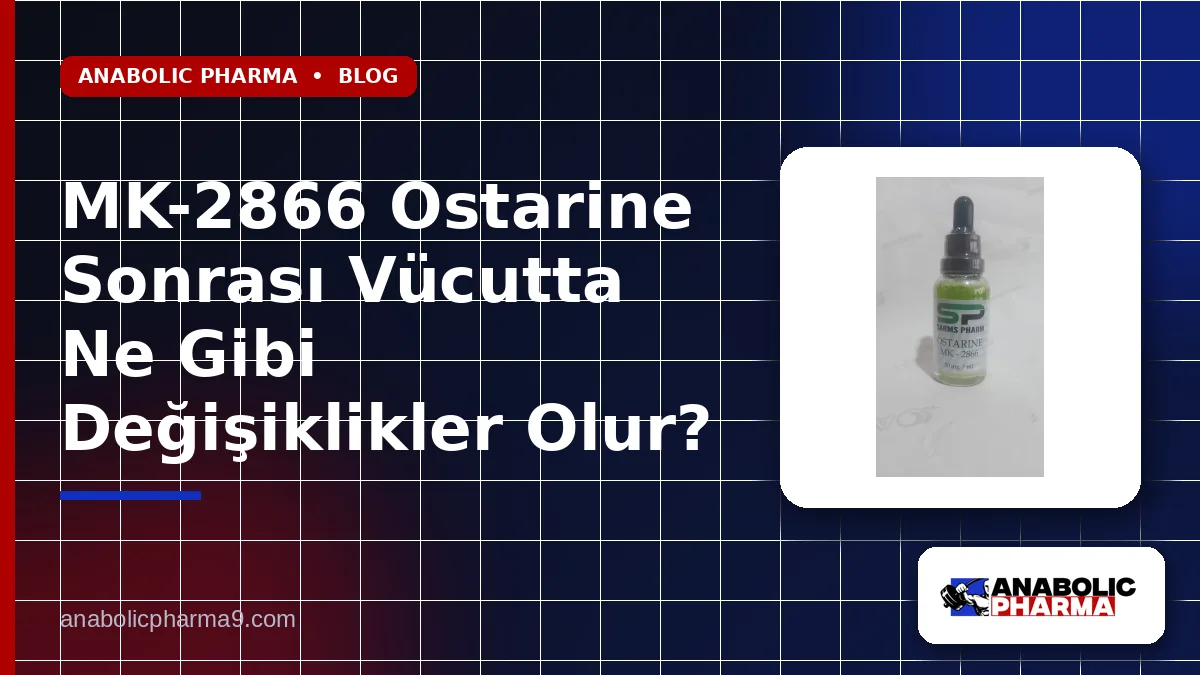 MK-2866 Ostarine Sonrası Vücutta Ne Gibi Değişiklikler Olur? 1 MK-2866 Ostarine Sonrası Vücutta Ne Gibi Değişiklikler Olur?