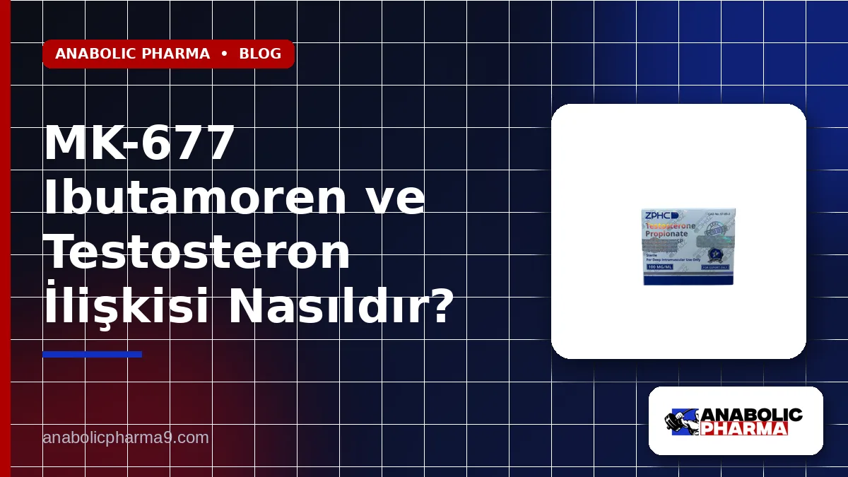 MK-677 Ibutamoren ve Testosteron İlişkisi Nasıldır?