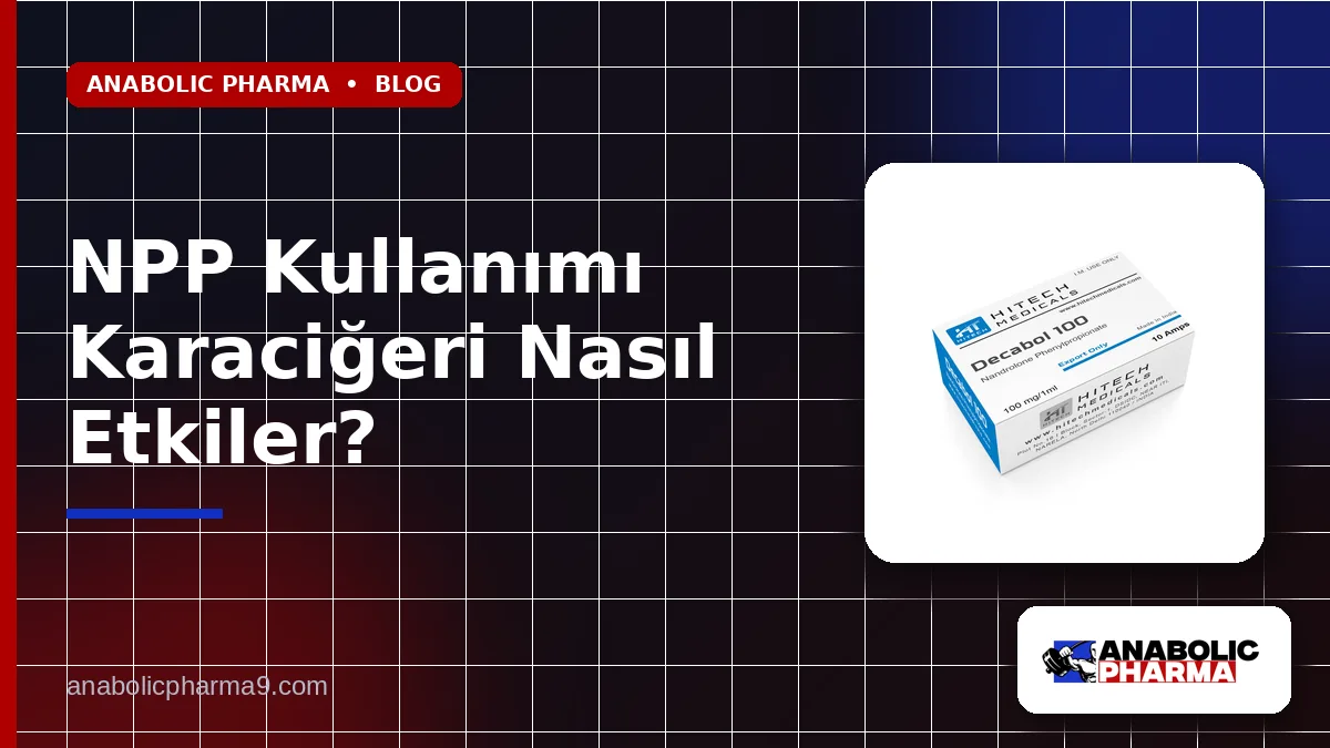 NPP Kullanımı Karaciğeri Nasıl Etkiler? 1 NPP Kullanımı Karaciğeri Nasıl Etkiler?