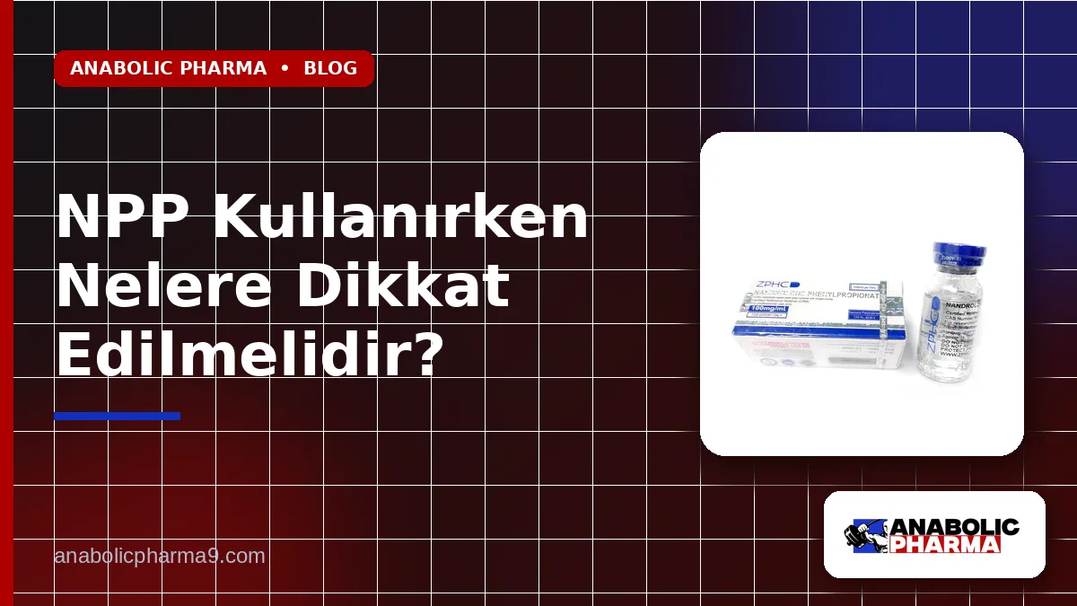 NPP Kullanırken Nelere Dikkat Edilmelidir?