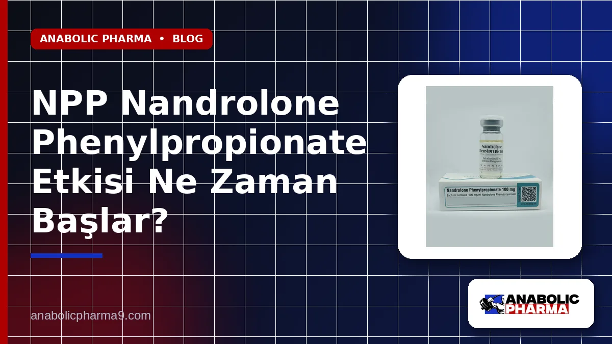 NPP Nandrolone Phenylpropionate Etkisi Ne Zaman Başlar?