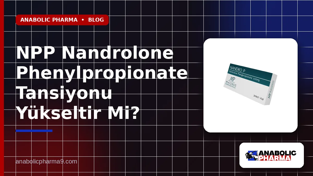 NPP Nandrolone Phenylpropionate Tansiyonu Yükseltir Mi? 1 NPP Nandrolone Phenylpropionate Tansiyonu Yükseltir Mi?