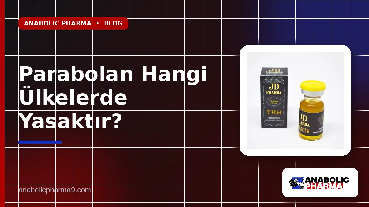 Parabolan Hangi Ülkelerde Yasaktır? 1 Parabolan Hangi Ülkelerde Yasaktır?